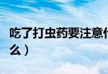 吃了打虫药要注意什么（吃了打虫药要注意什么）