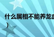 什么属相不能养龙血树（养龙血树有什么讲究）