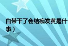 白带干了会结痂发黄是什么原因（白带干了发黄结痂怎么回事）