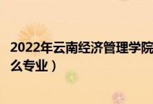 2022年云南经济管理学院招生计划及招生人数（各省都招什么专业）
