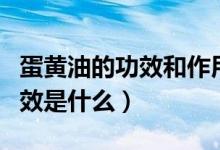 蛋黄油的功效和作用治疗中耳炎（蛋黄油的功效是什么）