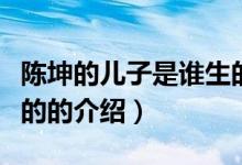 陈坤的儿子是谁生的（关于陈坤的儿子是谁生的的介绍）