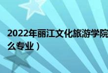 2022年丽江文化旅游学院招生计划及招生人数（各省都招什么专业）