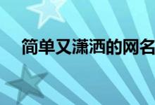 简单又潇洒的网名（高傲霸气潇洒网名）