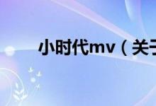 小时代mv（关于小时代mv的介绍）