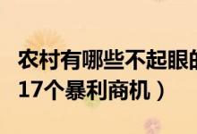 农村有哪些不起眼的商机（藏在农村不起眼的17个暴利商机）