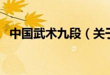 中国武术九段（关于中国武术九段的介绍）