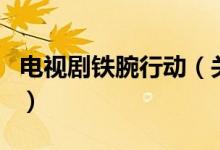 电视剧铁腕行动（关于电视剧铁腕行动的介绍）