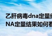 乙肝病毒dna定量结果表如何看（乙肝病毒DNA定量结果如何看）
