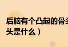 后脑有个凸起的骨头图片（后脑有个凸起的骨头是什么）