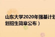 山东大学2020年强基计划招生简章（山东大学2022强基计划招生简章公布）