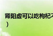 肾阳虚可以吃枸杞不（肾阳虚可以吃枸杞子吗）