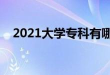 2021大学专科有哪些学校（哪些学校好）