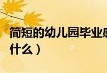 简短的幼儿园毕业感言（幼儿园毕业可以说到什么）