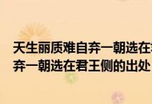 天生丽质难自弃一朝选在君王侧是什么意思（天生丽质难自弃一朝选在君王侧的出处）