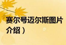 赛尔号迈尔斯图片（关于赛尔号迈尔斯图片的介绍）