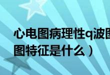 心电图病理性q波图片特点（病理性q波心电图特征是什么）