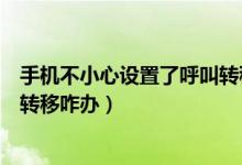 手机不小心设置了呼叫转移怎么办（手机不小心设置了呼叫转移咋办）