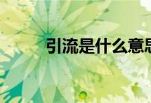 引流是什么意思饭圈（引流解释）