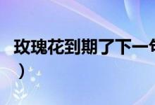 玫瑰花到期了下一句（玫瑰花到期了的下一句）