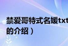 禁爱哥特式名媛txt（关于禁爱哥特式名媛txt的介绍）