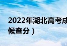 2022年湖北高考成绩排名公布时间（什么时候查分）