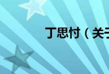 丁思忖（关于丁思忖的介绍）