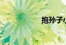 抱孙子小品（抱孙）