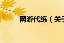 网游代练（关于网游代练的介绍）