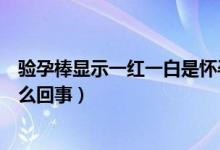 验孕棒显示一红一白是怀孕吗（验孕棒一红一白怀孕了是怎么回事）