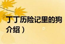 丁丁历险记里的狗（关于丁丁历险记里的狗的介绍）