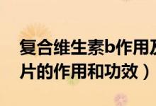 复合维生素b作用及功能主治（复合维生素b片的作用和功效）
