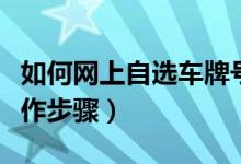 如何网上自选车牌号（全国通用）（有哪些操作步骤）