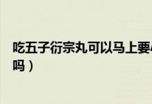 吃五子衍宗丸可以马上要小孩吗（吃五子衍宗丸可以要小孩吗）