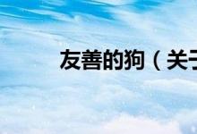 友善的狗（关于友善的狗的介绍）