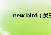 new bird（关于new bird的介绍）