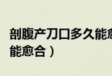 剖腹产刀口多久能愈合不疼（剖腹产刀口多久能愈合）
