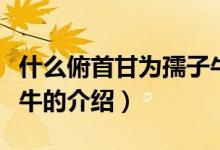 什么俯首甘为孺子牛（关于什么俯首甘为孺子牛的介绍）