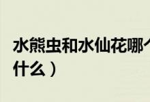 水熊虫和水仙花哪个生命强（水仙花的特点是什么）