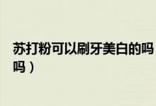 苏打粉可以刷牙美白的吗（用小苏打刷牙真的可以美白牙齿吗）