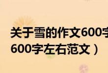 关于雪的作文600字左右初三（关于雪的作文600字左右范文）