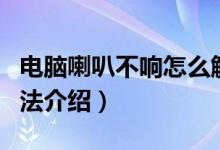 电脑喇叭不响怎么解决（电脑喇叭不响解决方法介绍）