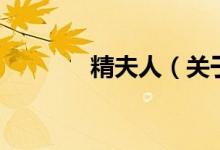 精夫人（关于精夫人的介绍）