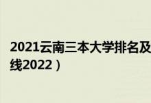 2021云南三本大学排名及分数线（云南三本大学排名及分数线2022）