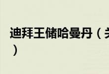 迪拜王储哈曼丹（关于迪拜王储哈曼丹的介绍）