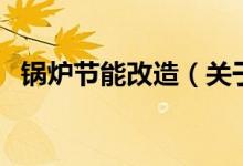 锅炉节能改造（关于锅炉节能改造的介绍）