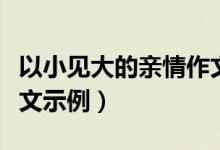 以小见大的亲情作文（以小见大的亲情作文范文示例）