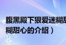 腹黑殿下狠爱迷糊甜心（关于腹黑殿下狠爱迷糊甜心的介绍）