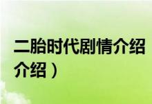 二胎时代剧情介绍（关于二胎时代剧情介绍的介绍）