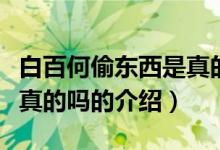 白百何偷东西是真的吗（关于白百何偷东西是真的吗的介绍）